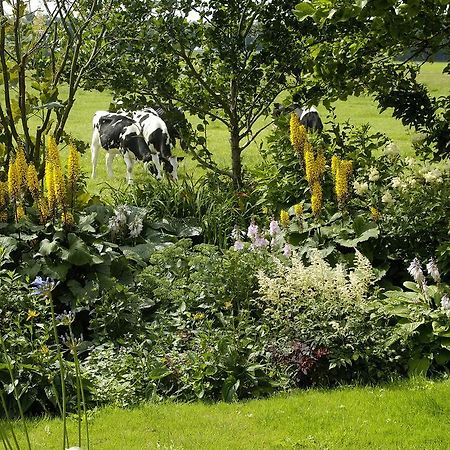 De Zonnehoed Bed & Breakfast Lisse Exterior photo