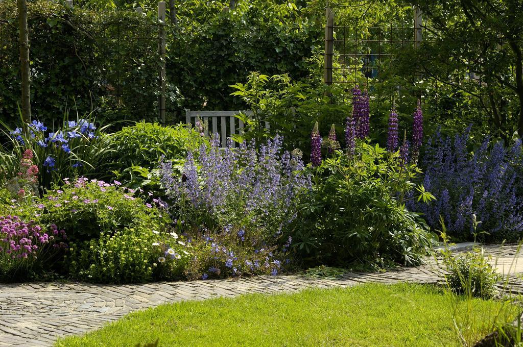 De Zonnehoed Bed & Breakfast Lisse Exterior photo
